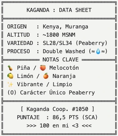 Kenia Kaganda Peaberry Lavado 2 Kenia Kaganda Peaberry Lavado - Imagen 2